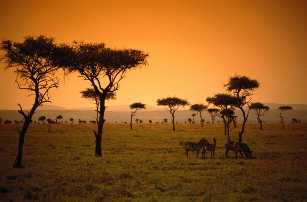 África
